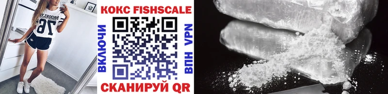 MEGA онион  сколько стоит  Тюмень  Cocaine FishScale 
