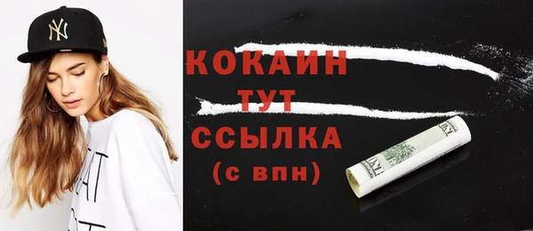 молекула духа Новодвинск