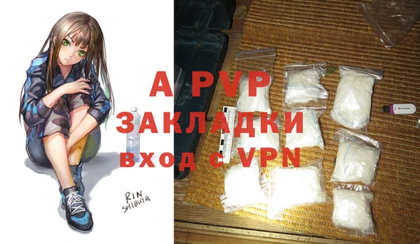 молекула духа Новодвинск