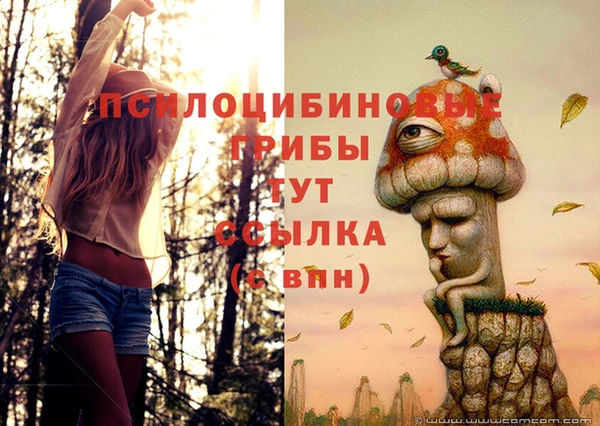 MDMA Новозыбков
