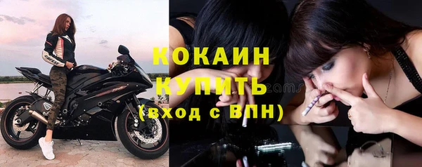 молекула духа Новодвинск