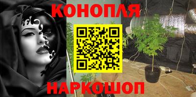Альфа ПВП Ирбит