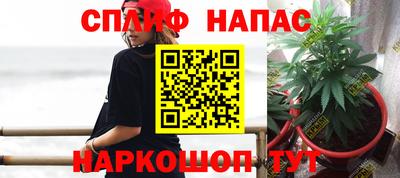 Альфа ПВП Ипатово