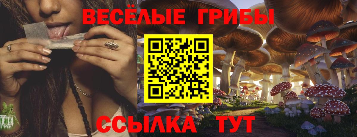 Псилоцибиновые грибы GOLDEN TEACHER  Галлюциногенные грибы мицелий  Тюмень  Вход с VPN 